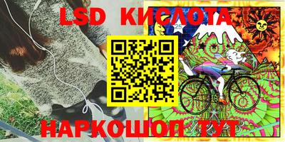 прущие крисы Шелехов