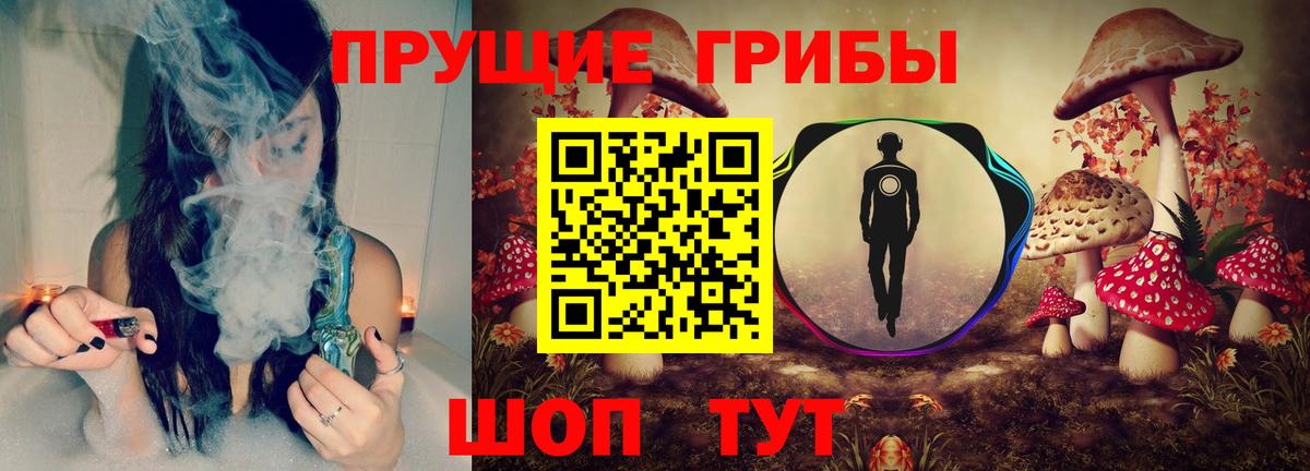 Белгород  Псилоцибиновые грибы Cubensis  Вход с VPN 